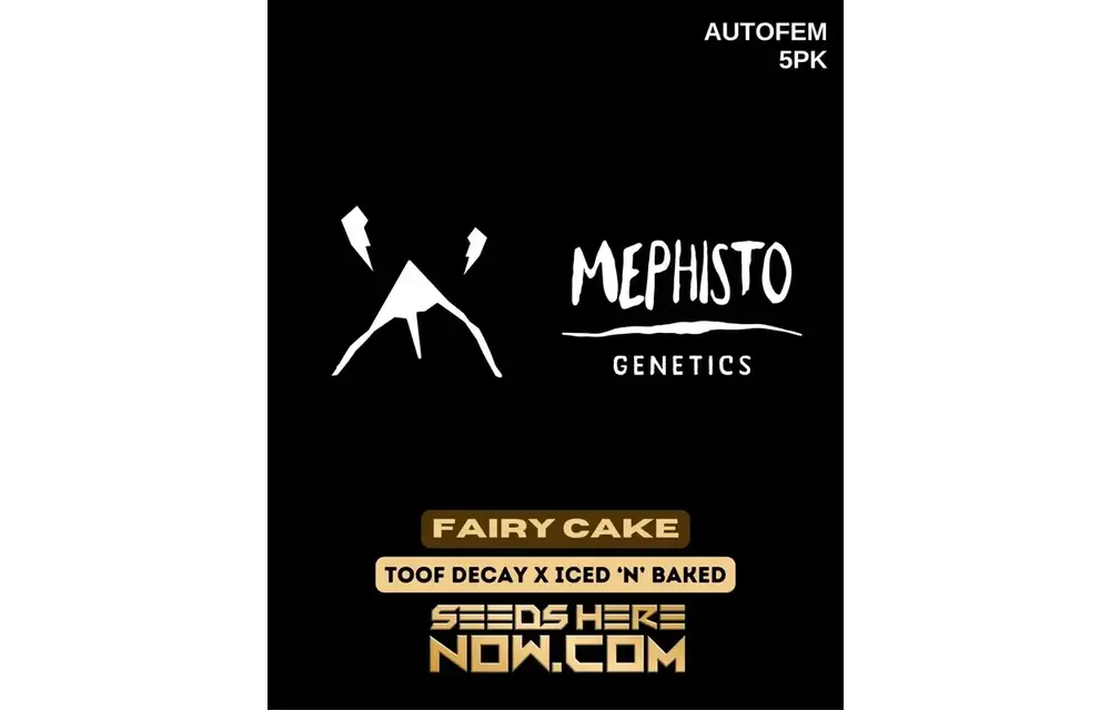 Mephisto Genetics Toof Fairy 5pk