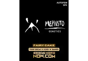 Mephisto Genetics Toof Fairy 5pk