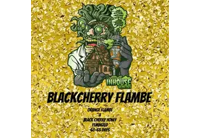 In-House Genetics Black Cherry Flambé 3pk