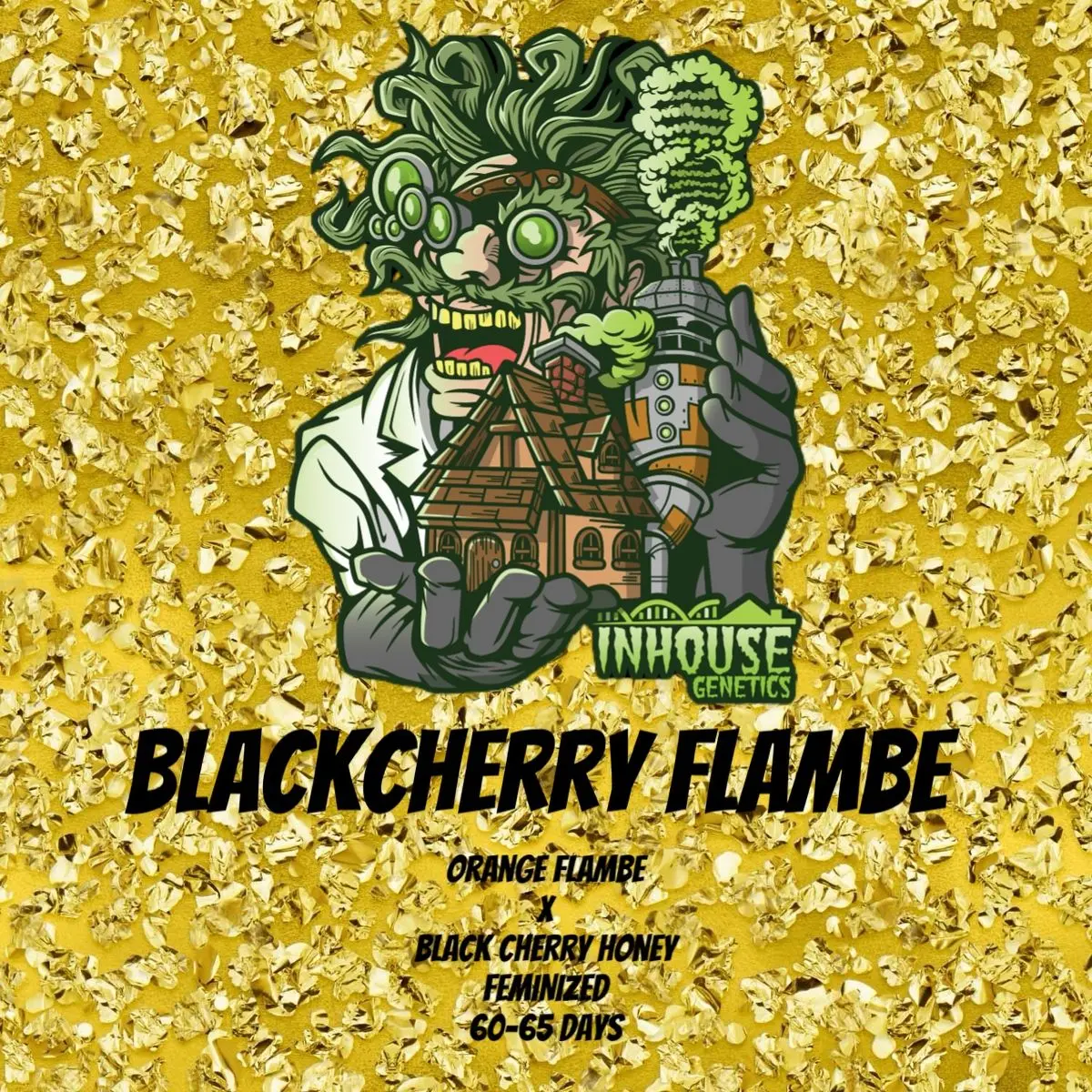 In-House Genetics Black Cherry Flambé 3pk