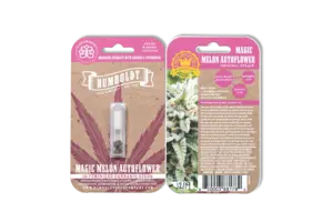 Humboldt Magic Melon Auto