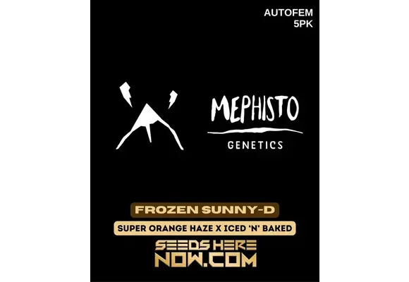 Mephisto Genetics Frozen Sunny-D Auto 5pk