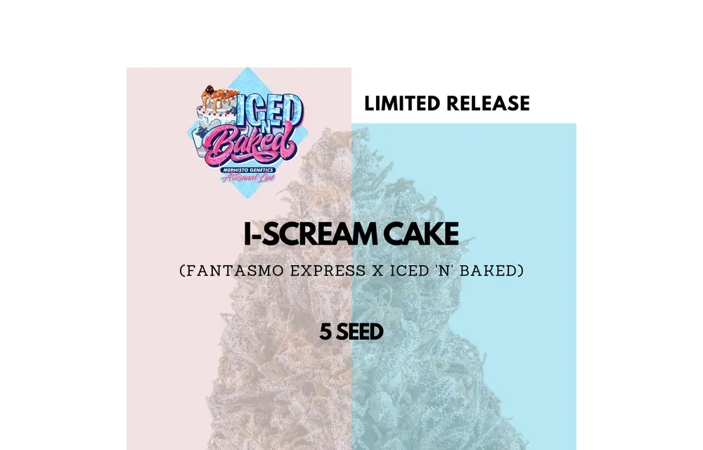 Mephisto Genetics I-Scream Cake Auto 5pk