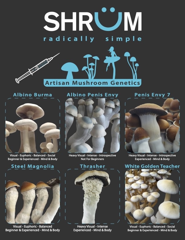 Coast 2 coast albino burma 12ml