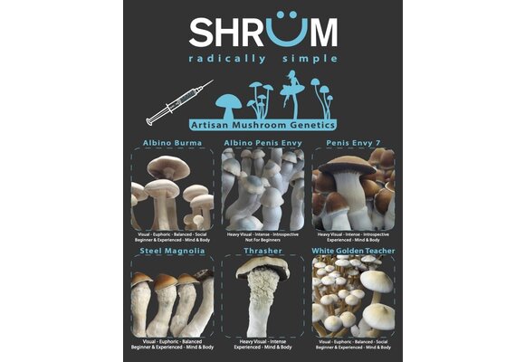 Coast 2 coast albino Avery 12ml