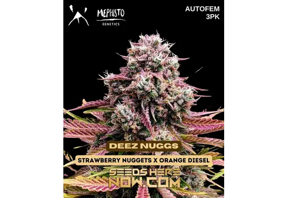 Mephisto Genetics Deez Nuggs 3pk