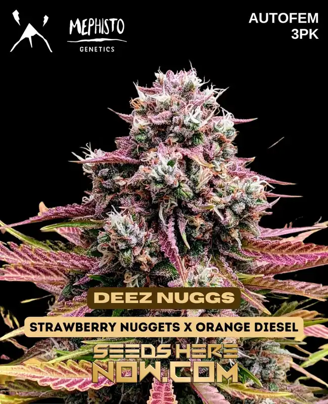 Mephisto Genetics Deez Nuggs 3pk