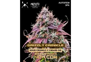 Mephisto Genetics Grizzly Crinkle 3pk