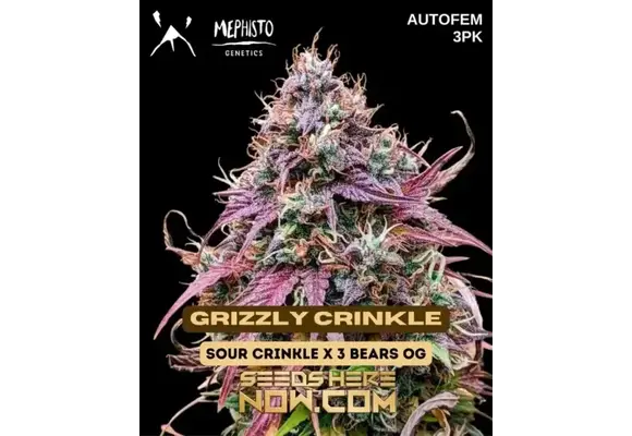 Mephisto Genetics Grizzly Crinkle 3pk