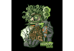 In-House Genetics Berry Pie X PKB 3pk