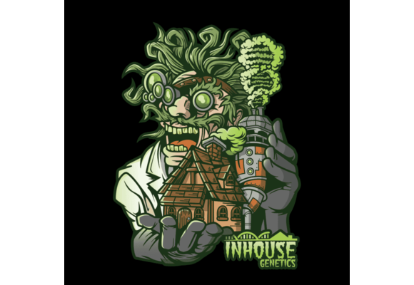 In-House Genetics Berry Pie X PKB 3pk