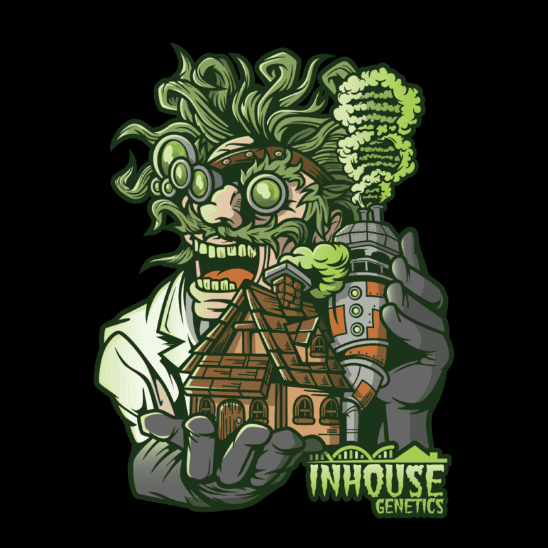 In-House Genetics Berry Pie X PKB 3pk