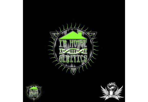 In-House Genetics Cascade Honey 3pk