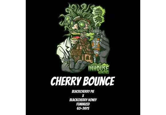 In-House Genetics Cherry Bounce 3pk