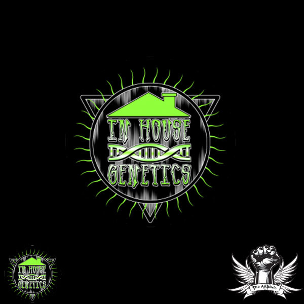 In-House Genetics Lemon Cosmos 3pk