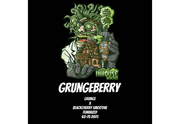 In-House Genetics Grungeberry 3pk