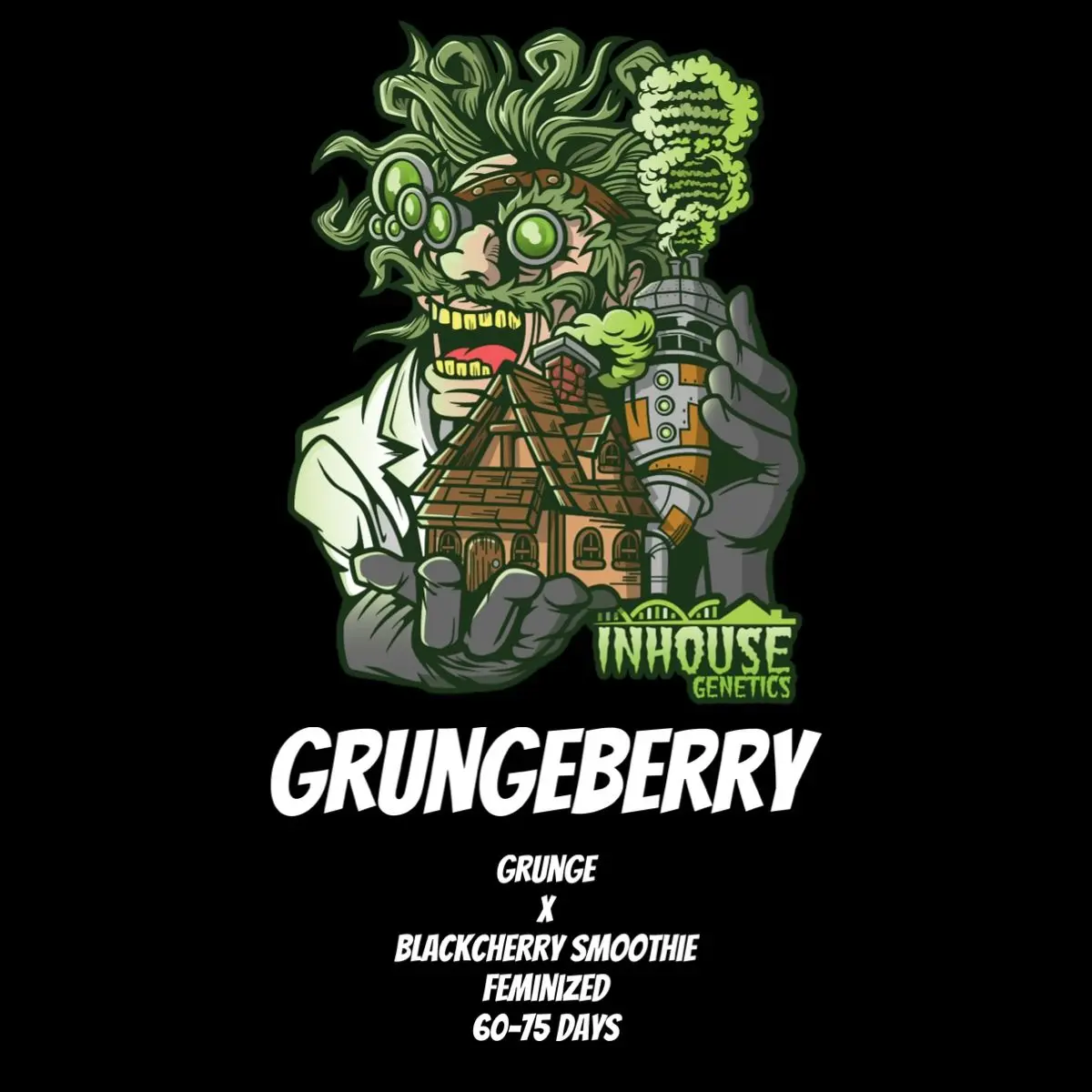 In-House Genetics Grungeberry 3pk