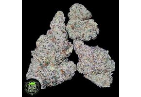 In-House Genetics Gasberry 3pk