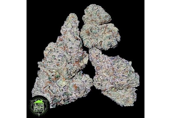 In-House Genetics Gasberry 3pk