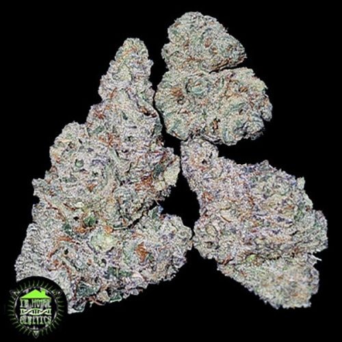 In-House Genetics Gasberry 3pk