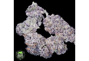 In-House Genetics Dark Velvet 3pk