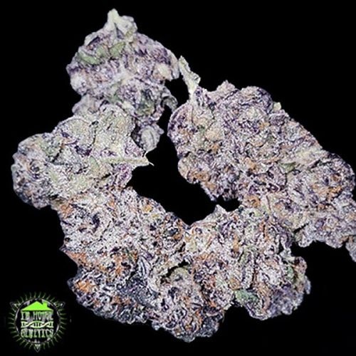 In-House Genetics Dark Velvet 3pk