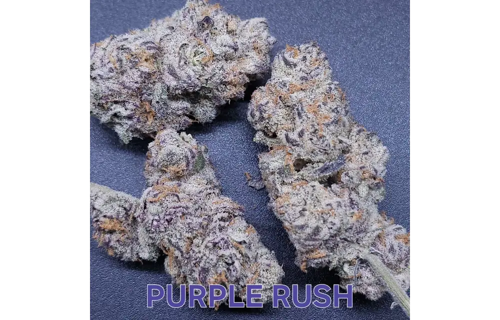 In-House Genetics Purple Rush 3pk