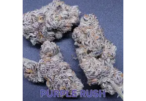 In-House Genetics Purple Rush 3pk