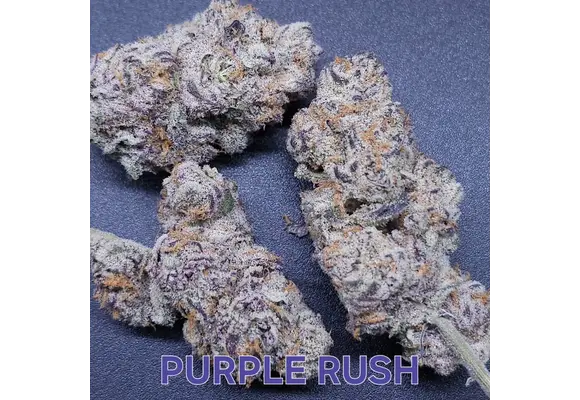 In-House Genetics Purple Rush 3pk