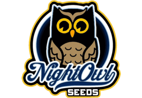 Night Owl Seeds 91 Berries