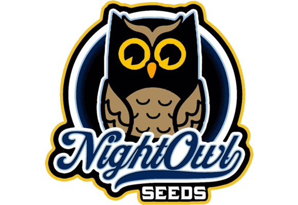Night Owl Seeds 91 Berries