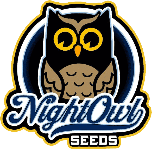 Night Owl Seeds 91 Berries