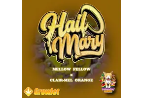 Fat Cat Labs Hail Mary