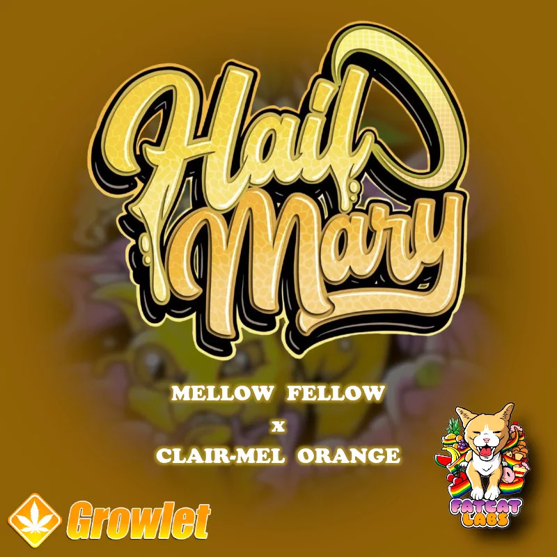 Fat Cat Labs Hail Mary