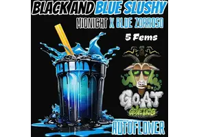 G.O.A.T black and blue slushy Autoflower 5 pack