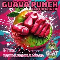 G.O.A.T guava punch Autoflower 5 pack