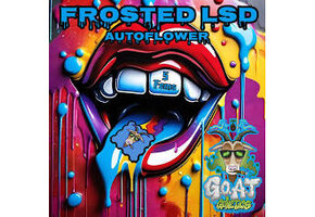 G.O.A.T frosted LSD autoflower 5 pack