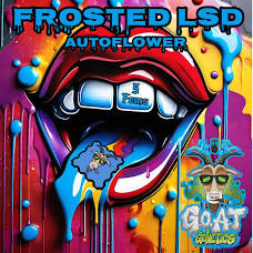 G.O.A.T frosted LSD autoflower 5 pack