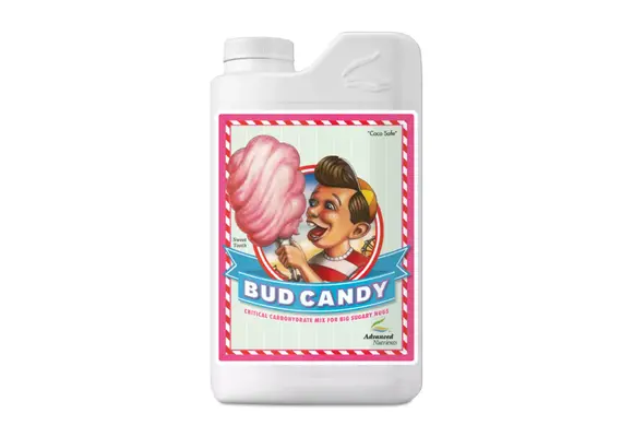 Bud candy mini