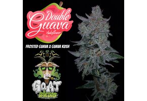 G.O.A.T Double Guava