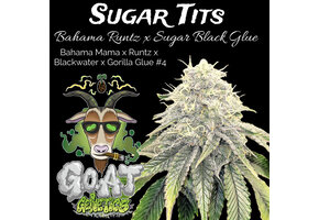 G.o.a.t. Sugar Tits