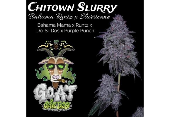 G.o.a.t. Chi-town Slurry