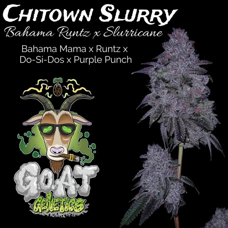 G.o.a.t. Chi-town Slurry