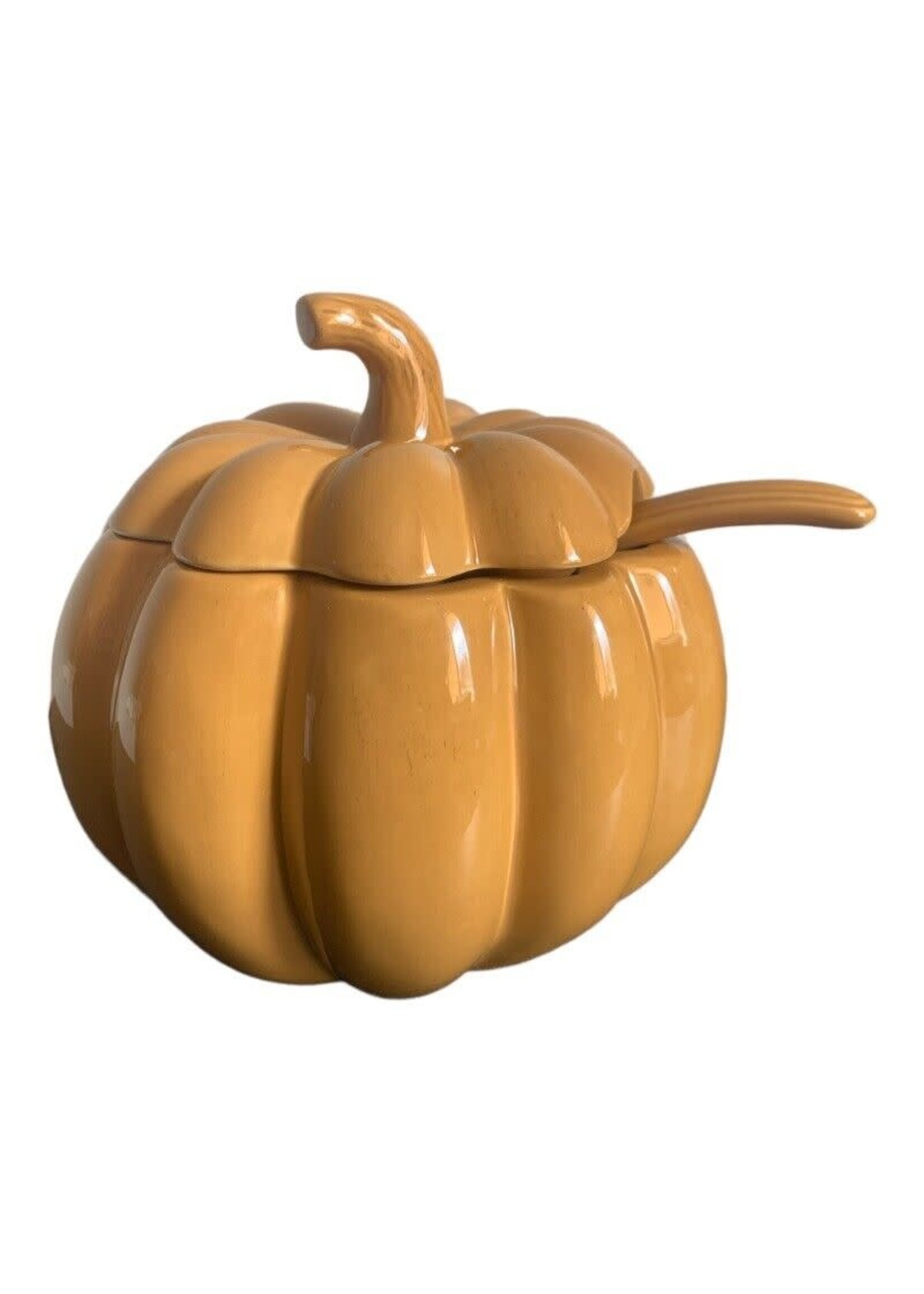 PUMPKIN TUREEN W/LADLE