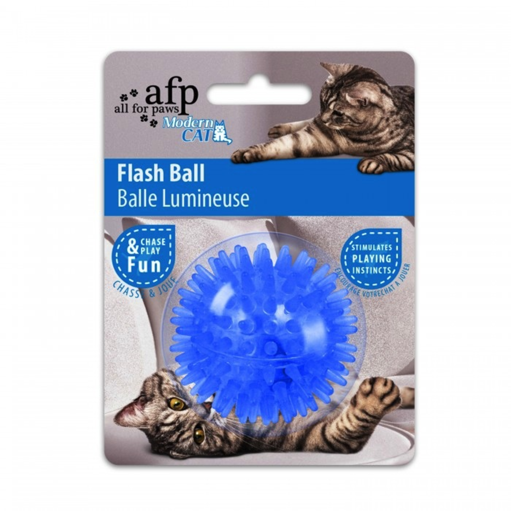 CAT IT (D) MODERN CAT FLASH BALL