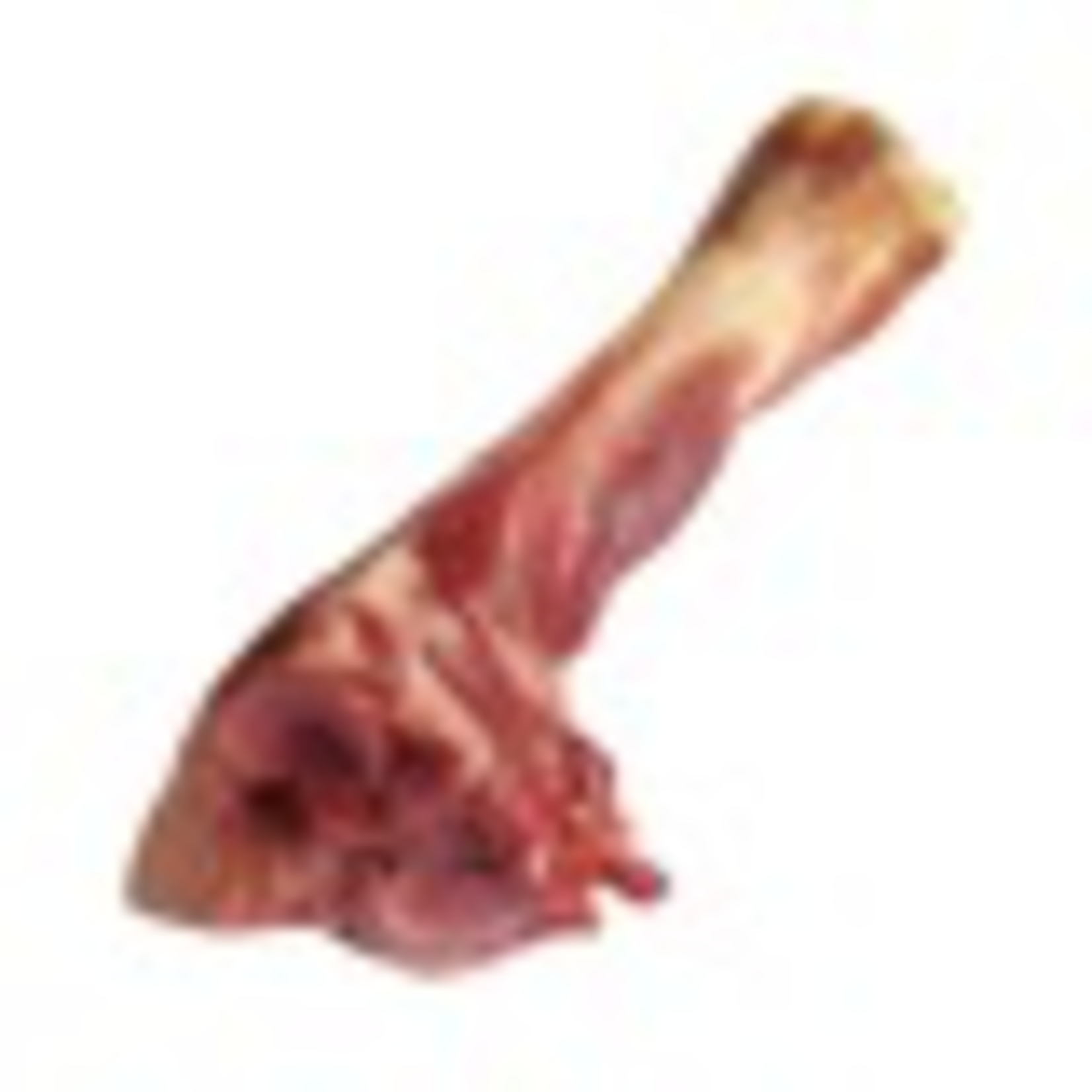 Charcuterie by Dogit Prosciutto Bone for Dogs - Medium (Tibia) - Min Wt 150 g (5.3 oz)*