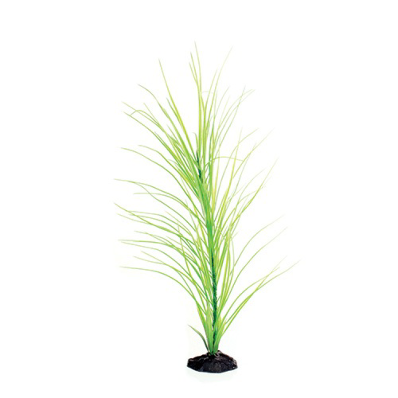 UNDERWATER TREASURES UT PP GREEN HAIRGRASS 20IN