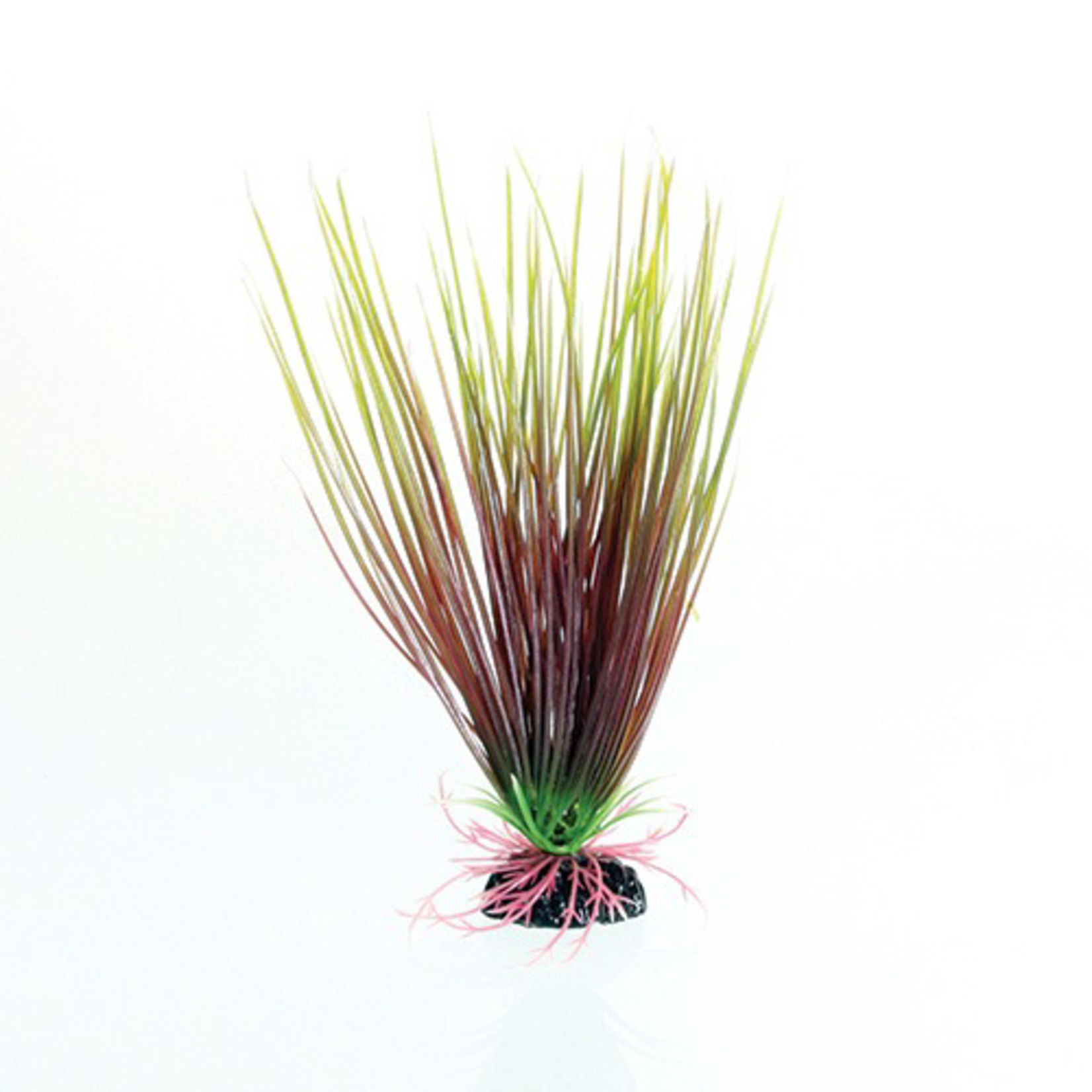 UNDERWATER TREASURES UT PP RED/GREEN HAIRGRASS 8IN