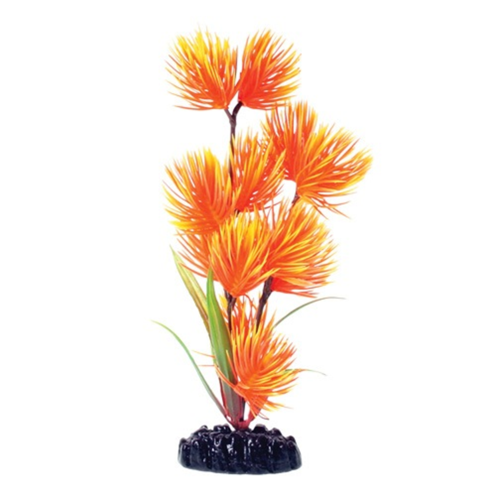 UNDERWATER TREASURES UT PP ORANGE/YELLOW CONIFER 8IN