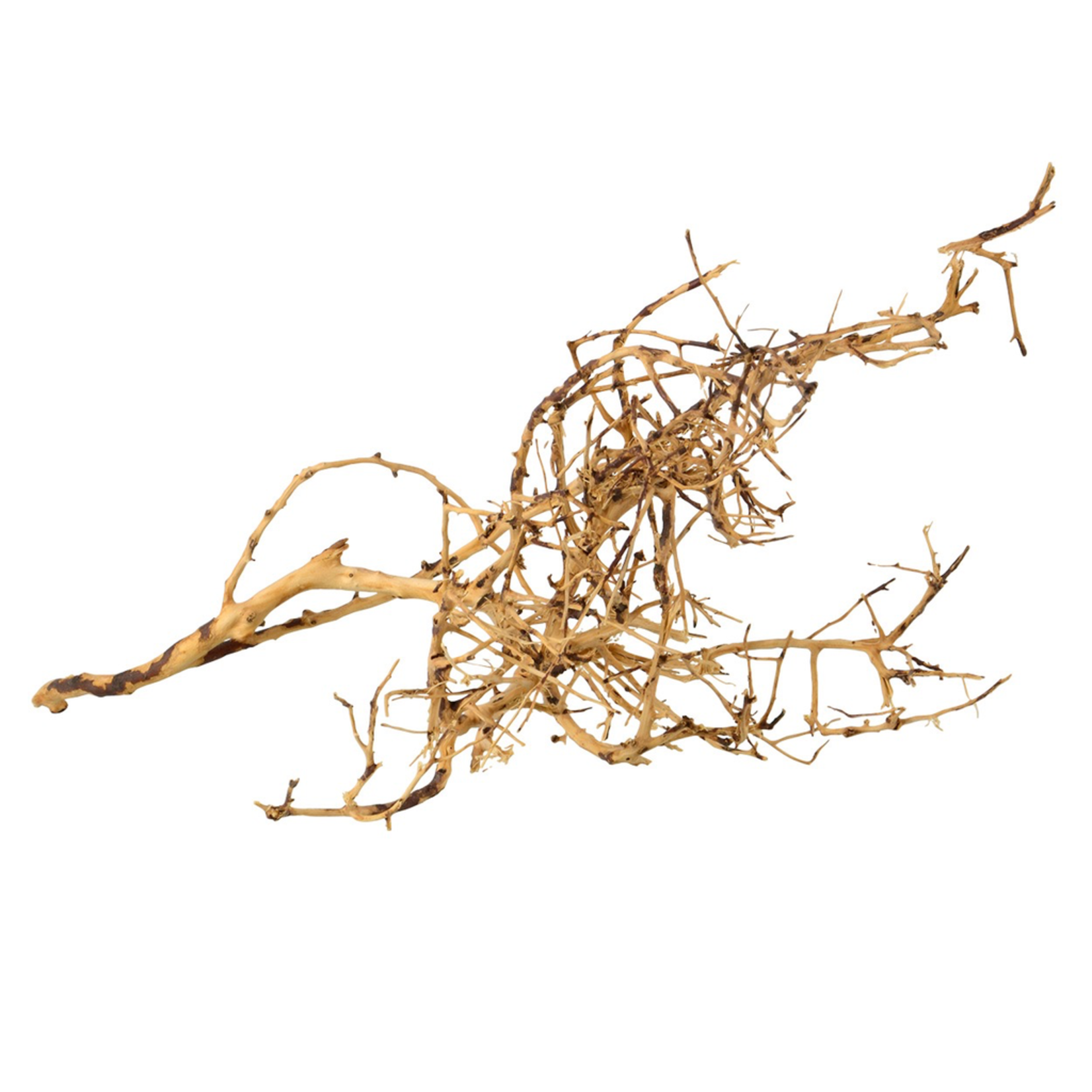 UNDERWATER TREASURES Bird nest Wood - Small